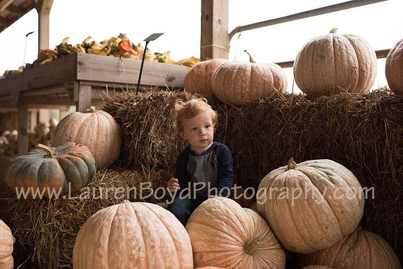 LBP_4985