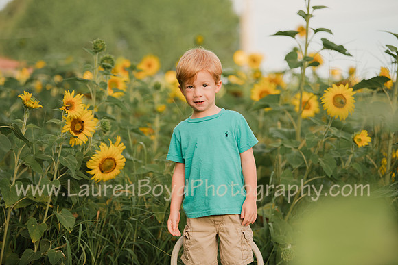 LBP_0951