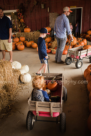 LBP_4953