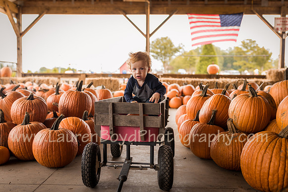 LBP_4945