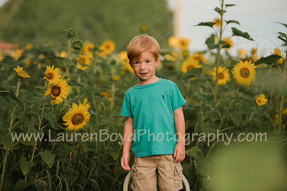 LBP_0951-2