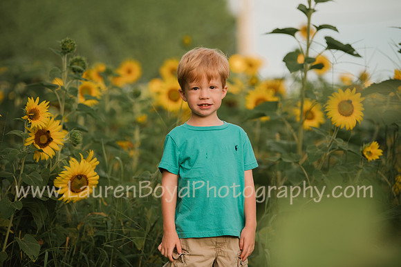 LBP_0943-2