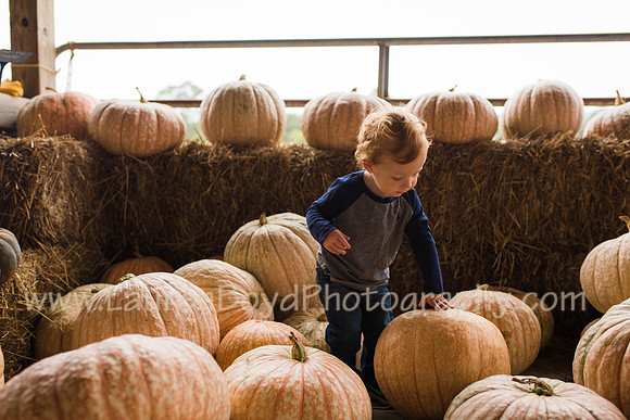 LBP_4979