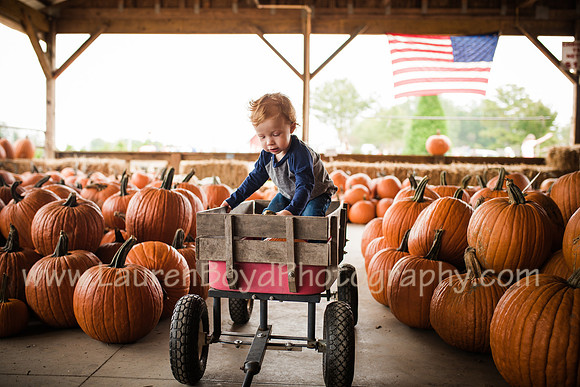 LBP_4942