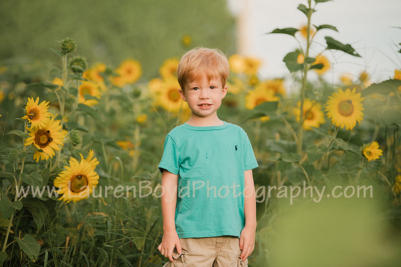 LBP_0943